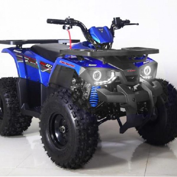 Off road benzines gyerek quad Tao Hunter 125cc